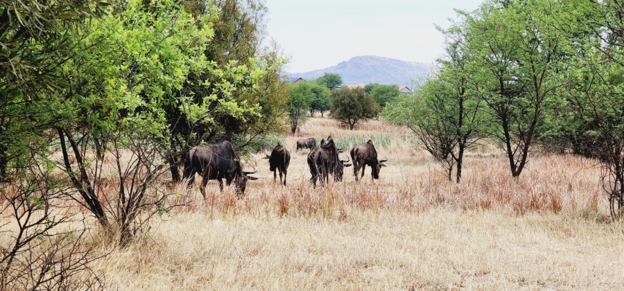 Commercial Property for Sale in La Camargue Private Country Estate North West